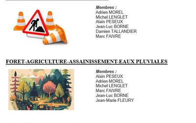 Membres commissions pour site internet (1)